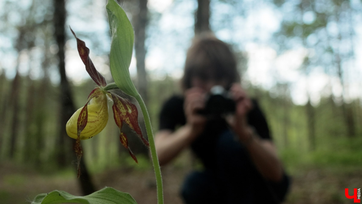 Майские праздники стартуют уже в эту пятницу, и провести их в квартире — вариант так себе. Лучше запланировать небольшое путешествие по 33-му региону. Далеко не уезжаем, каникулы будут не долгими: всего два блока по три дня. Зато времени прокатиться по городам Владимирской области хватит. «Ключ-Медиа» расскажет, куда точно стоит поехать.