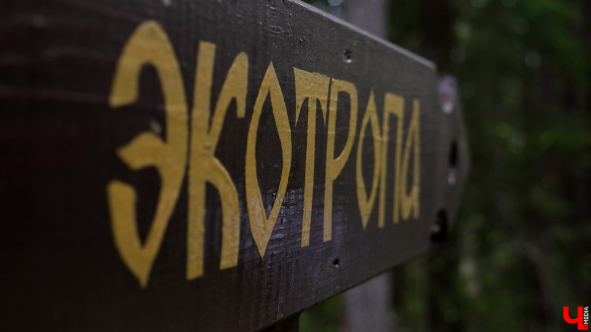 Майские праздники стартуют уже в эту пятницу, и провести их в квартире — вариант так себе. Лучше запланировать небольшое путешествие по 33-му региону. Далеко не уезжаем, каникулы будут не долгими: всего два блока по три дня. Зато времени прокатиться по городам Владимирской области хватит. «Ключ-Медиа» расскажет, куда точно стоит поехать.