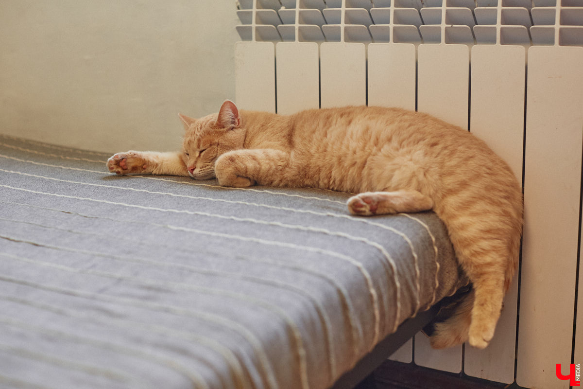 В столицу пришла настоящая зима: на Москву обрушились шторм и снегопады. Ее соседка — Владимирская область — тоже периодами становится мишенью непогоды. Увы, когда закончится эта черная полоса, неизвестно. По прогнозам специалистов, ненастье продержится как минимум до конца текущей недели. Так что солнца на Первомай не ждать.