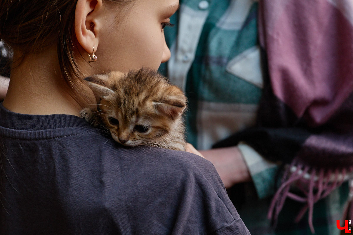 В минувшую субботу по адресу: Чайковского, 44б можно было услышать лай и писк четырехлапых малышей. Собрали крох на площадке доброцентра — в новой точке притяжения неравнодушных к судьбам животных людей. Директор зоодома Юлия Буйницкая рассчитывает, что место привлечет дополнительную помощь мокроносам и обеспечит каждого обратившегося верным другом без лишних хлопот.