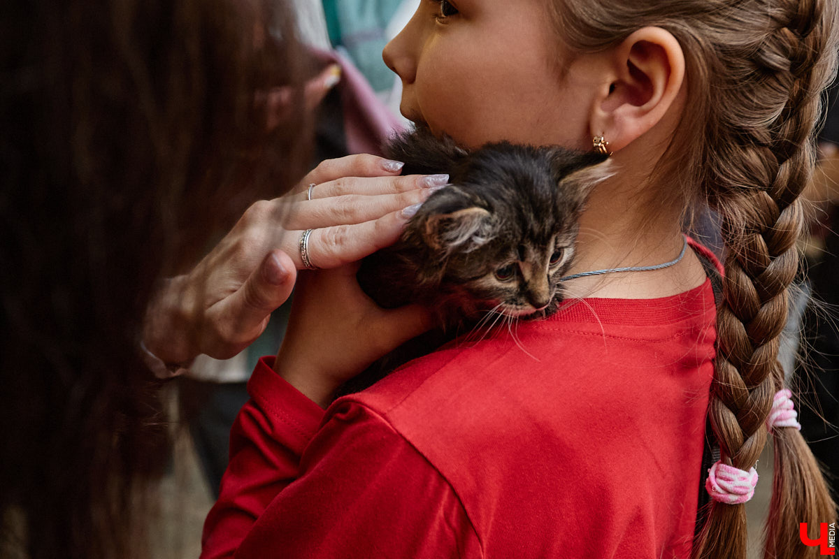 В минувшую субботу по адресу: Чайковского, 44б можно было услышать лай и писк четырехлапых малышей. Собрали крох на площадке доброцентра — в новой точке притяжения неравнодушных к судьбам животных людей. Директор зоодома Юлия Буйницкая рассчитывает, что место привлечет дополнительную помощь мокроносам и обеспечит каждого обратившегося верным другом без лишних хлопот.