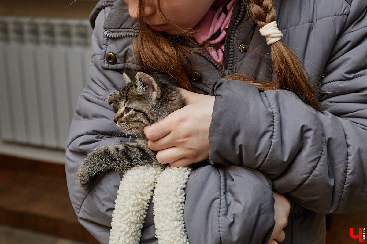 В минувшую субботу по адресу: Чайковского, 44б можно было услышать лай и писк четырехлапых малышей. Собрали крох на площадке доброцентра — в новой точке притяжения неравнодушных к судьбам животных людей. Директор зоодома Юлия Буйницкая рассчитывает, что место привлечет дополнительную помощь мокроносам и обеспечит каждого обратившегося верным другом без лишних хлопот.
