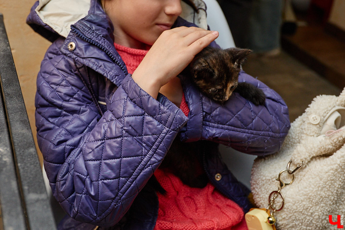 В минувшую субботу по адресу: Чайковского, 44б можно было услышать лай и писк четырехлапых малышей. Собрали крох на площадке доброцентра — в новой точке притяжения неравнодушных к судьбам животных людей. Директор зоодома Юлия Буйницкая рассчитывает, что место привлечет дополнительную помощь мокроносам и обеспечит каждого обратившегося верным другом без лишних хлопот.