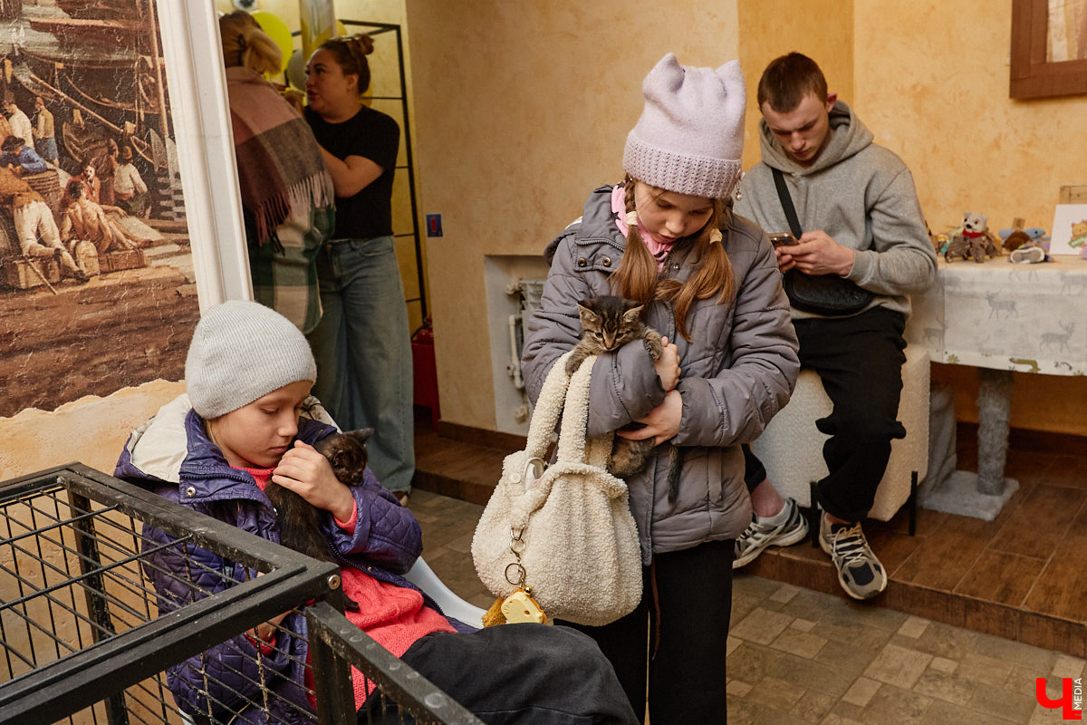 В минувшую субботу по адресу: Чайковского, 44б можно было услышать лай и писк четырехлапых малышей. Собрали крох на площадке доброцентра — в новой точке притяжения неравнодушных к судьбам животных людей. Директор зоодома Юлия Буйницкая рассчитывает, что место привлечет дополнительную помощь мокроносам и обеспечит каждого обратившегося верным другом без лишних хлопот.