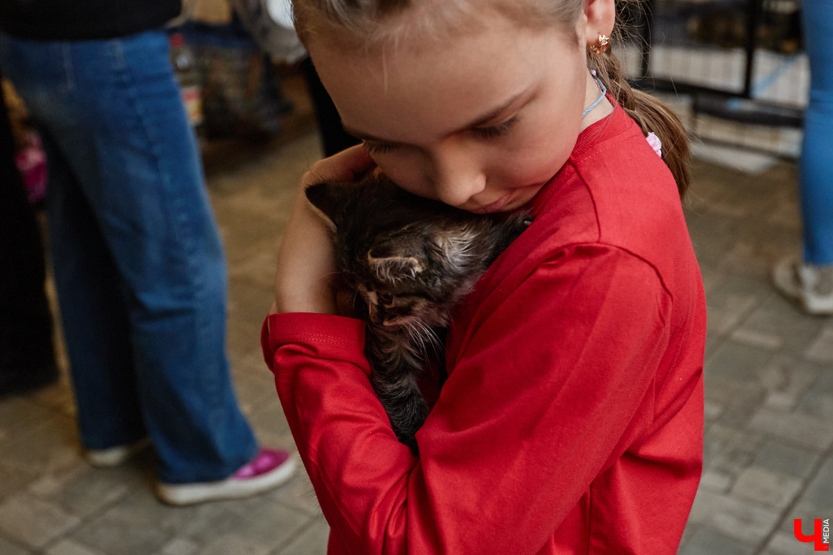 В минувшую субботу по адресу: Чайковского, 44б можно было услышать лай и писк четырехлапых малышей. Собрали крох на площадке доброцентра — в новой точке притяжения неравнодушных к судьбам животных людей. Директор зоодома Юлия Буйницкая рассчитывает, что место привлечет дополнительную помощь мокроносам и обеспечит каждого обратившегося верным другом без лишних хлопот.