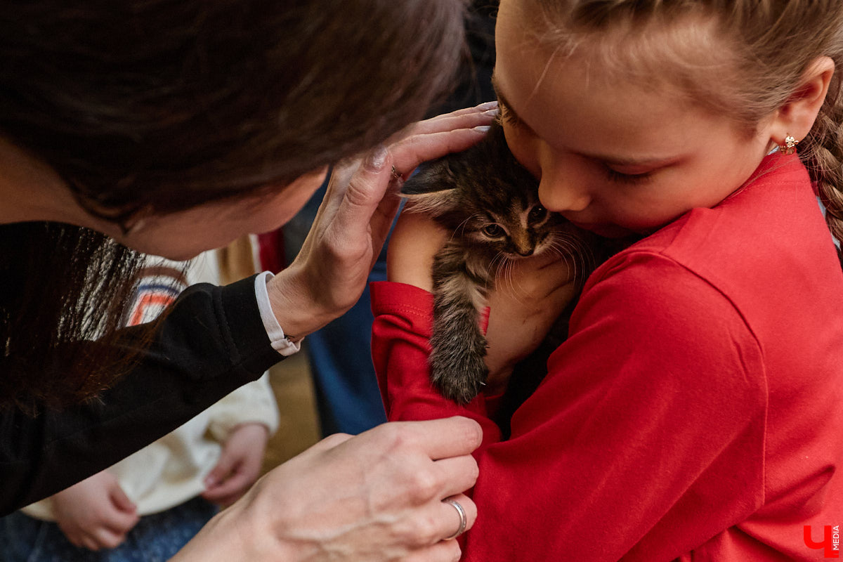 В минувшую субботу по адресу: Чайковского, 44б можно было услышать лай и писк четырехлапых малышей. Собрали крох на площадке доброцентра — в новой точке притяжения неравнодушных к судьбам животных людей. Директор зоодома Юлия Буйницкая рассчитывает, что место привлечет дополнительную помощь мокроносам и обеспечит каждого обратившегося верным другом без лишних хлопот.