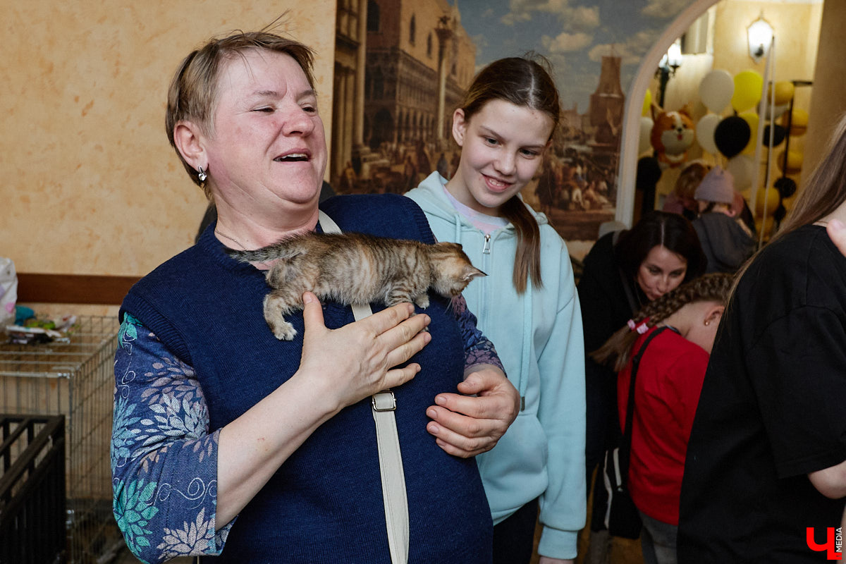 В минувшую субботу по адресу: Чайковского, 44б можно было услышать лай и писк четырехлапых малышей. Собрали крох на площадке доброцентра — в новой точке притяжения неравнодушных к судьбам животных людей. Директор зоодома Юлия Буйницкая рассчитывает, что место привлечет дополнительную помощь мокроносам и обеспечит каждого обратившегося верным другом без лишних хлопот.