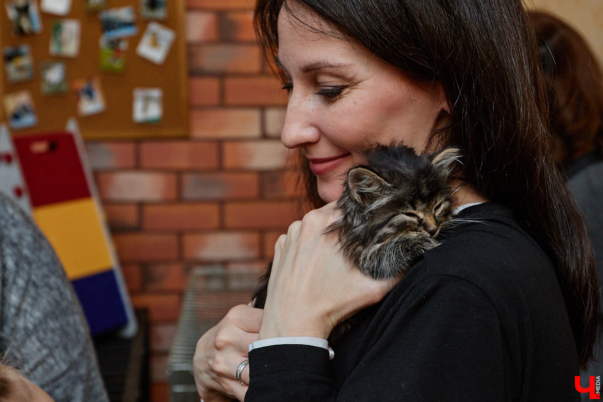 В минувшую субботу по адресу: Чайковского, 44б можно было услышать лай и писк четырехлапых малышей. Собрали крох на площадке доброцентра — в новой точке притяжения неравнодушных к судьбам животных людей. Директор зоодома Юлия Буйницкая рассчитывает, что место привлечет дополнительную помощь мокроносам и обеспечит каждого обратившегося верным другом без лишних хлопот.