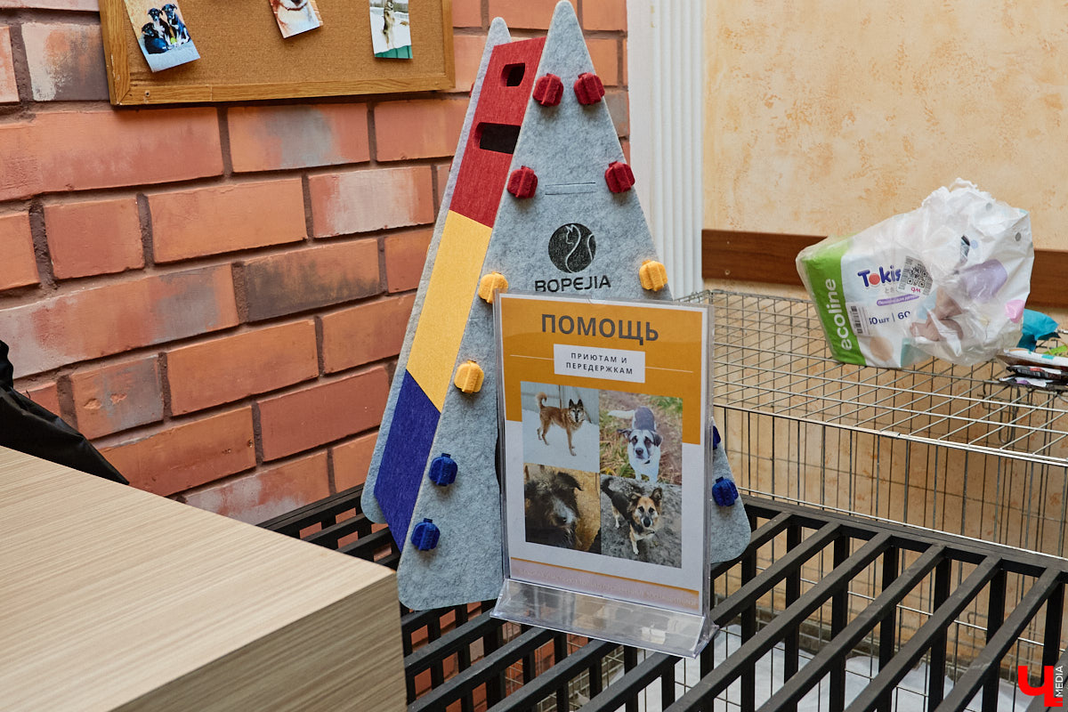 В минувшую субботу по адресу: Чайковского, 44б можно было услышать лай и писк четырехлапых малышей. Собрали крох на площадке доброцентра — в новой точке притяжения неравнодушных к судьбам животных людей. Директор зоодома Юлия Буйницкая рассчитывает, что место привлечет дополнительную помощь мокроносам и обеспечит каждого обратившегося верным другом без лишних хлопот.