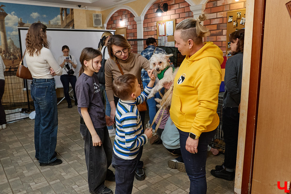 В минувшую субботу по адресу: Чайковского, 44б можно было услышать лай и писк четырехлапых малышей. Собрали крох на площадке доброцентра — в новой точке притяжения неравнодушных к судьбам животных людей. Директор зоодома Юлия Буйницкая рассчитывает, что место привлечет дополнительную помощь мокроносам и обеспечит каждого обратившегося верным другом без лишних хлопот.