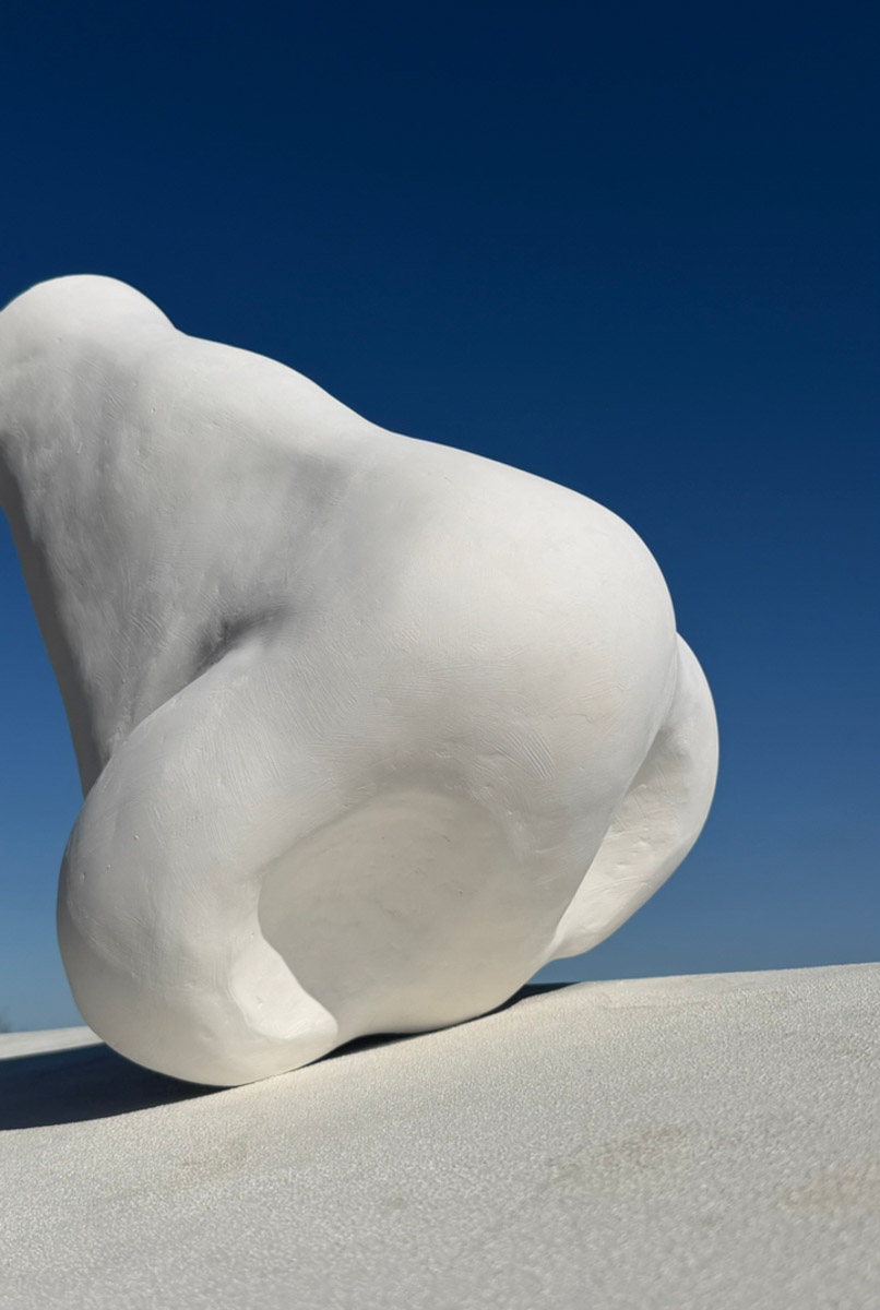 Что может связывать эстетику Ренессанса, науку об ароматах и гастрономический эксперимент? Кондитерская «Slovno в мае»! Владимирская лаборатория вкусов презентовала необычный десерт — NÓSEHOC. И по наименованию уже можно представить, в форме чего сделано лакомство — идеального носа. Ну а источником вдохновения послужил один из главных символов эпохи Возрождения — мраморная статуя Давида.