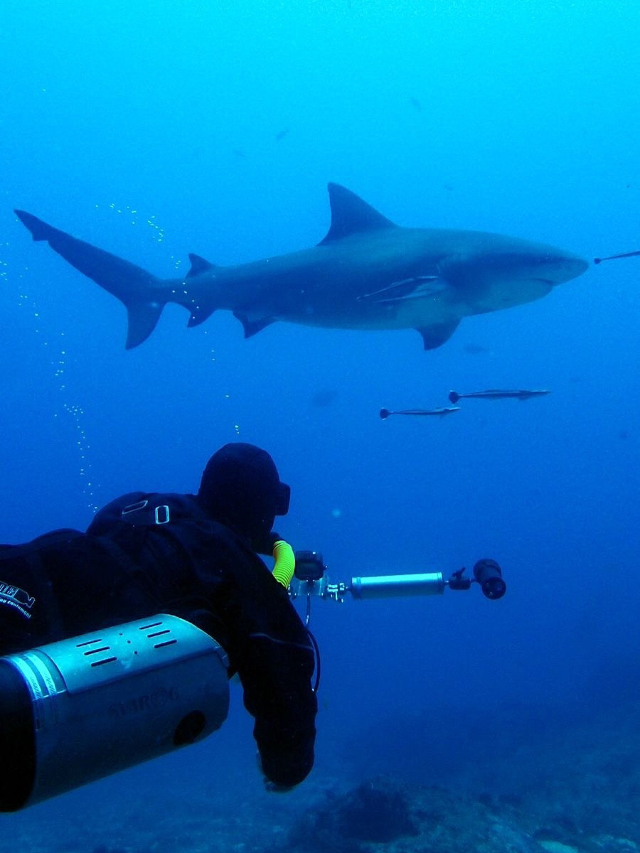 Южная Африка уже давно может предложить путешественникам не только сафари. Мария и Сергей Байковы открыли для себя эту страну с совершенно новой стороны. Они погрузились в Индийский океан с берегов Дурбана и Мозамбика, где познакомились с завораживающим подводным миром. А после отправились в город контрастов Кейптаун и посетили там главные туристические точки.