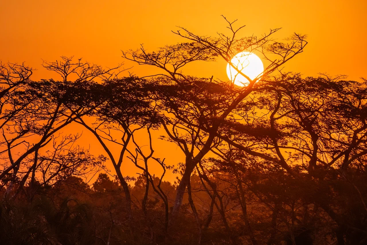 Южная Африка уже давно может предложить путешественникам не только сафари. Мария и Сергей Байковы открыли для себя эту страну с совершенно новой стороны. Они погрузились в Индийский океан с берегов Дурбана и Мозамбика, где познакомились с завораживающим подводным миром. А после отправились в город контрастов Кейптаун и посетили там главные туристические точки.