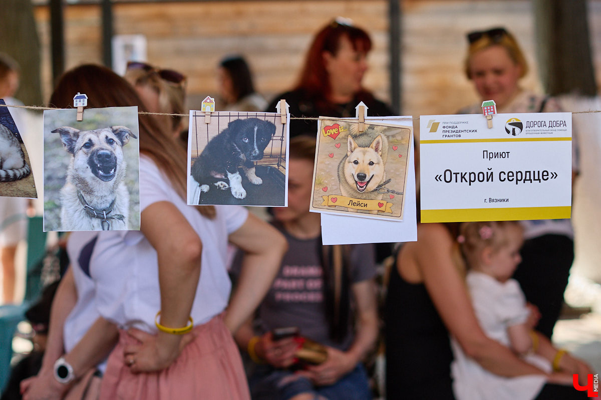 Самый «обнимательный» праздник в поддержку бездомных животных состоялся! 17 апреля на площадке «Рынка на Студеной» собрались 14 приютов и передержек со всего региона, а также зоозащитники, владельцы питомцев и просто гости, чьи сердца бьются чаще при виде нуждающихся мокроносов. Проходит антифестиваль второй год подряд, и на этот раз «Ключ-Медиа» не упустил шанса нагладиться вдоволь.
