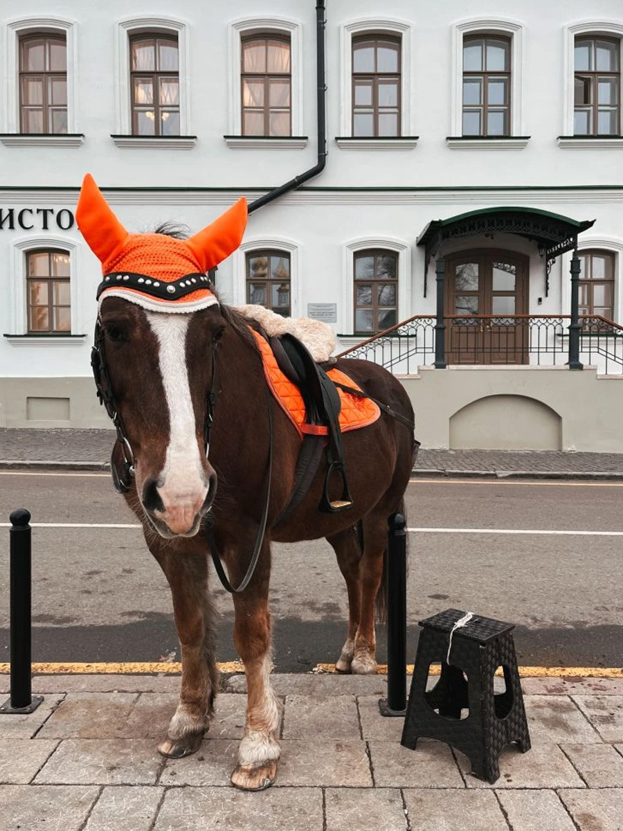 Если привычные способы справляться со стрессом и бытовыми проблемами не помогают, займитесь цветотерапией. При этом платить за «лечение» не нужно, достаточно выйти из дома и посмотреть по сторонам. Тренд, который задали в социальных сетях еще в прошлом году, по сей день на пике популярности. Что такое «медитация в движении» и каким Владимир и Суздаль увидели жители региона? «Ключ-Медиа» присмотрелся к оттенкам. Спойлер: серого не будет!