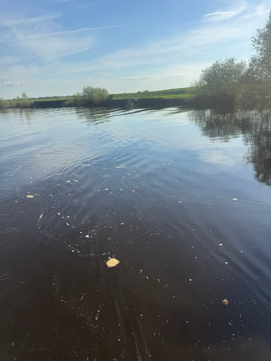 Недавно во Владимире прошла уборка на правом берегу главной водной артерии 33-го региона. Акция собрала около 150 участников из нашей и Московской областей. Однако после осталось неприятное послевкусие проблем, о которых буквально кричали рыбаки еще два года назад. «Ключ-Медиа» выяснил, что происходит на зеркальной глади Клязьмы.