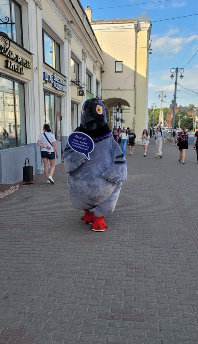 Если на выходных вы встретили во Владимире голубя ростом с человека — с вами всё нормально. Просто в городе несколько дней проходила необычная промоакция: большой пернатый герой гулял по разным локациям, держал таблички, курлыкал и собирал вокруг себя людей с телефонами.