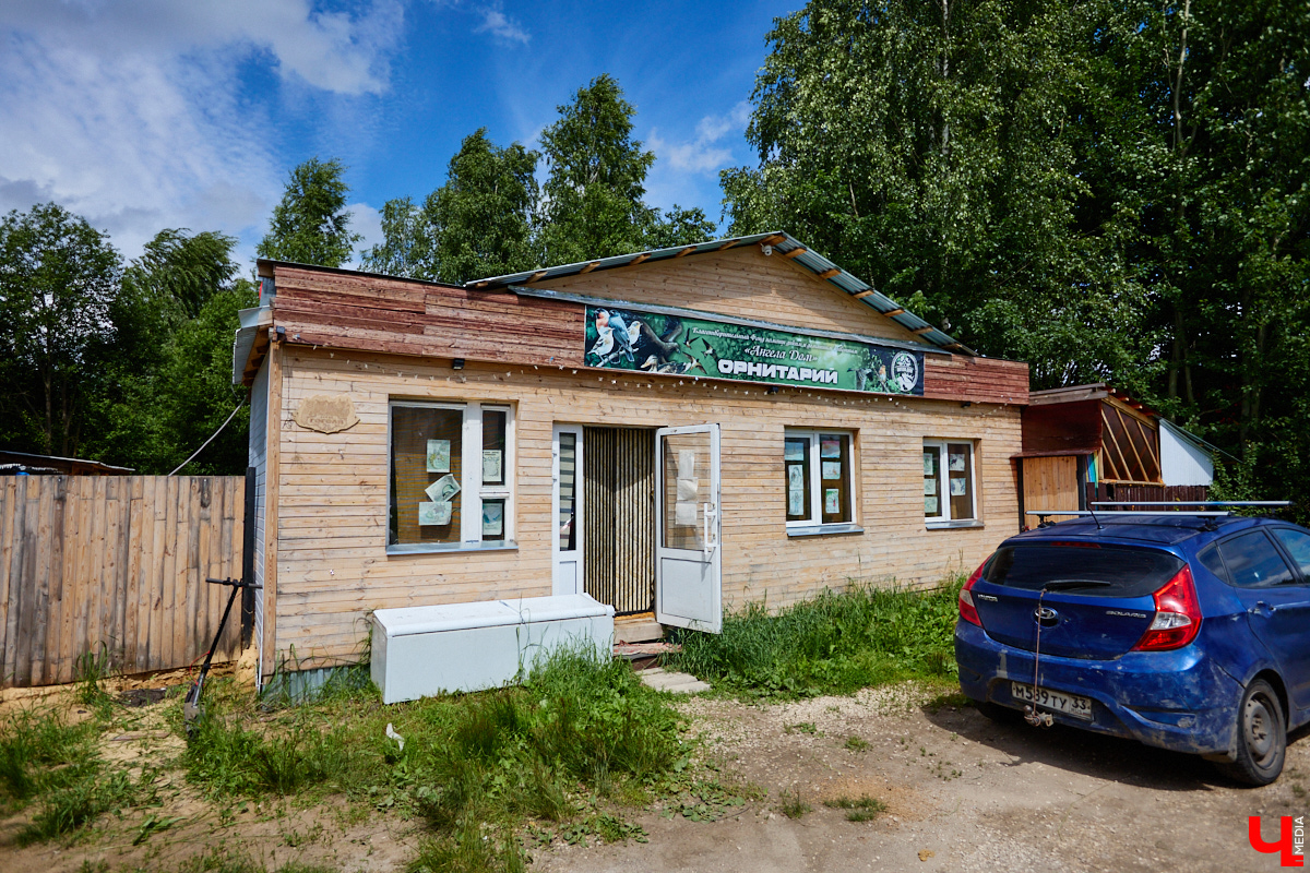 А вы уже успели побывать в суздальском орнитарии? Если нет, стоит туда заглянуть. Реабилитационный центр для лечения и спасения краснокнижных птиц — уникальное место, где можно увидеть пернатых из дикой природы, которым человек пришел на помощь в трудный момент.