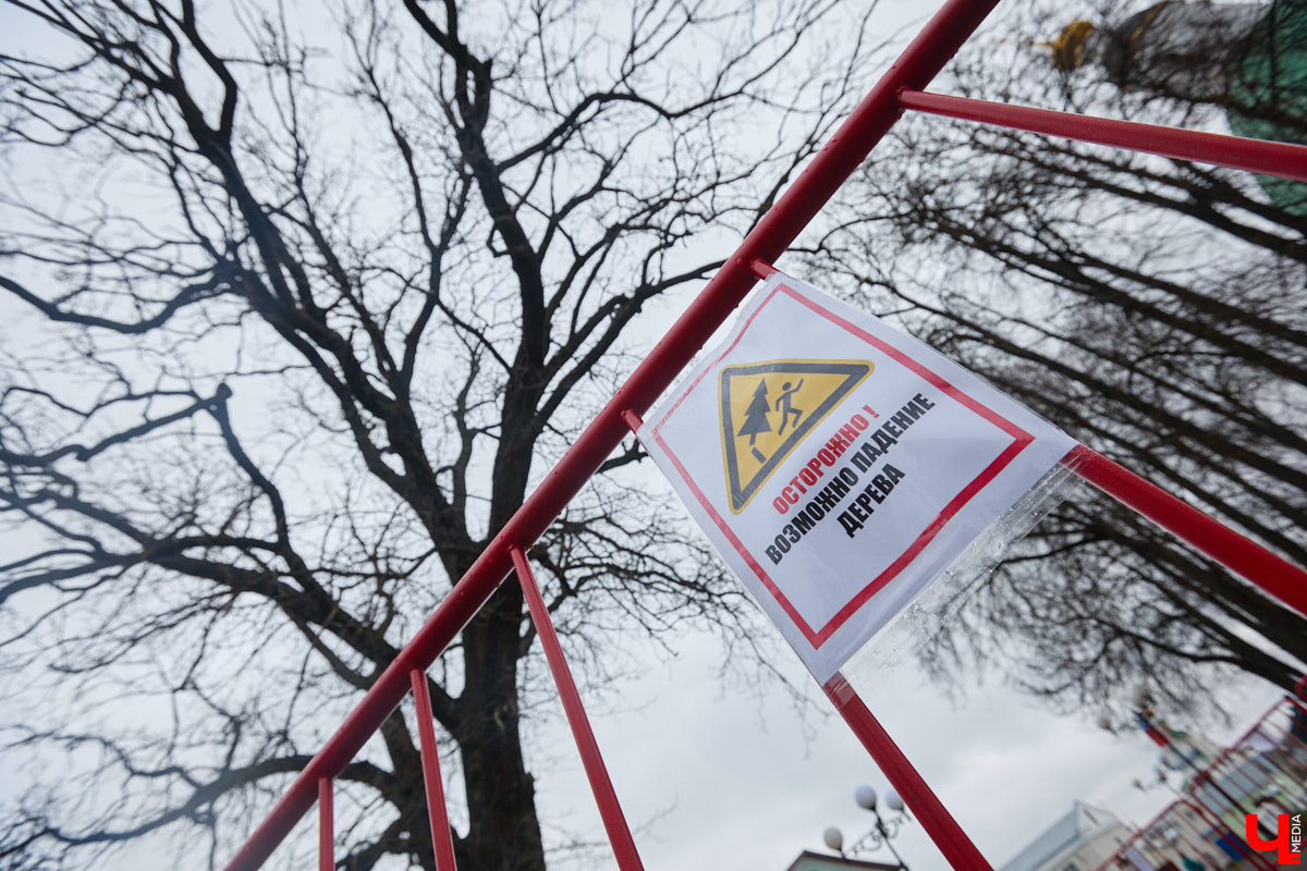 На Георгиевской улице в центре Владимире развернулась самая настоящая медицинская лаборатория. В роли пациента выступил всем известный сказочный дуб. С помощью импульсного томографа провели высокотехнологичный осмотр зеленого долгожителя. Он и определил состояние дерева, которому очень не везет с начала года. «Ключ-Медиа» выяснил все подробности о судьбе столетнего красавца.