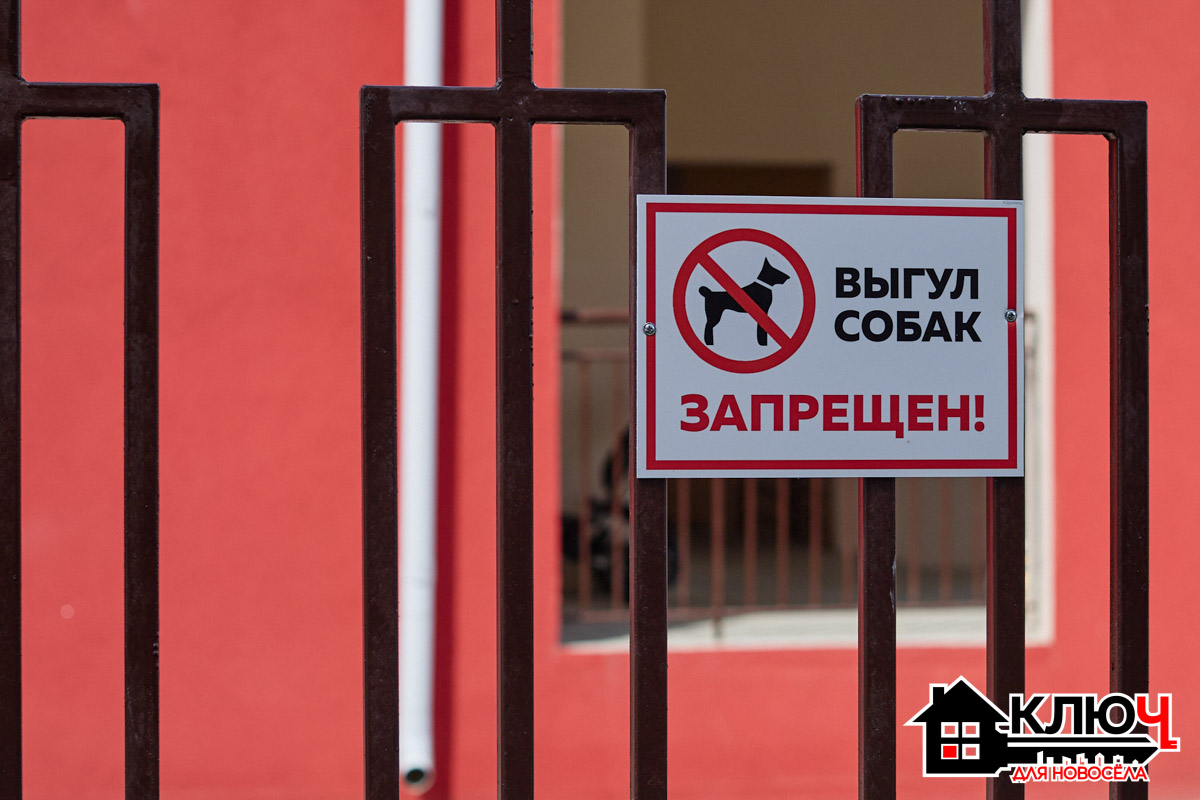 За последнее время Юрьевец стал идеальным местом для жизни с домашними питомцами. Там появились просторные зоны для выгула, современные ветклиники и даже свои груминг-салоны. В рамках проекта «Ключ для новосела» мы выяснили, насколько микрорайон дружелюбен к собакам, кошкам и их хозяевам, а также какие услуги там могут получить пушистые члены семей.