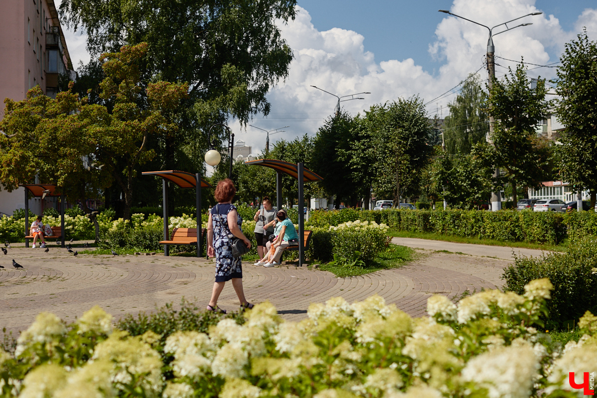 Исторический центр Владимира в этом году не узнать: несколько городских достопримечательностей скрылись за железным занавесом, культурные учреждения выглядывают из-за зеленых сеток в ожидании нового вида. Коснулись перемены и популярных городских пространств. Каких именно, рассказываем в материале.