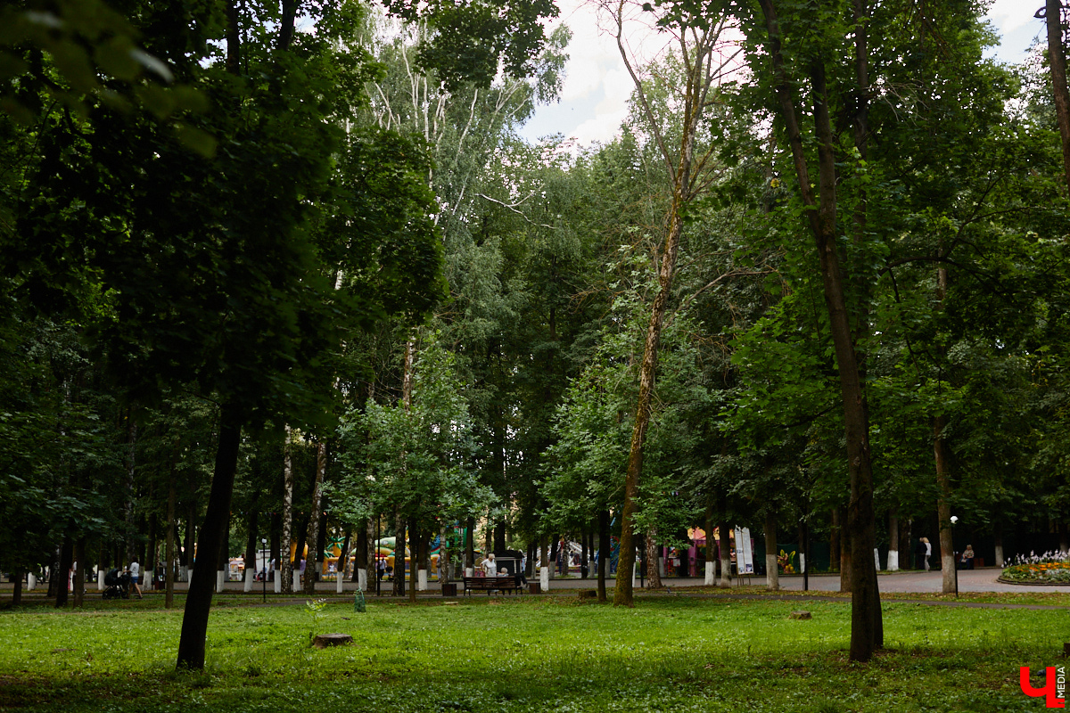 Этим летом прогулка по Центральному парку может вызвать тревогу. Несмотря на масштабную санитарную вырубку, свежую зелень по-прежнему разбавляет опасно накренившийся сухостой. Как так вышло, что садовники пощадили очевидно аварийные растения? «Ключ-Медиа» отправился на поиски ответа.