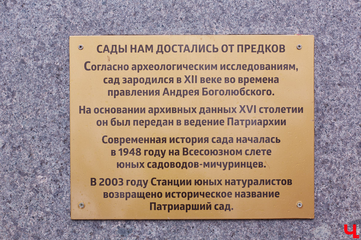 В Сети завирусились видеоролики путешественников, приехавших в областную столицу в 2026-м и заставших на улицах исторического центра многочисленные строительные леса. Гид Татьяна Быкова уверена: город стоит изучать глубже, а не судить лишь по традиционным туристическим тропам. Она составила маршрут по нетипичному Владимиру, по которому мы с удовольствием прогулялись