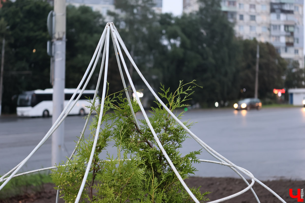 Лето уходит, но мы не спешим прощаться. В наших сердцах еще осталось место для тепла, и найти его можно прямо на городских улицах возле клумб. «Ключ-Медиа» отыскал во Владимире самые интересные и яркие цветочные композиции, напоминающие об уходящем сезоне.