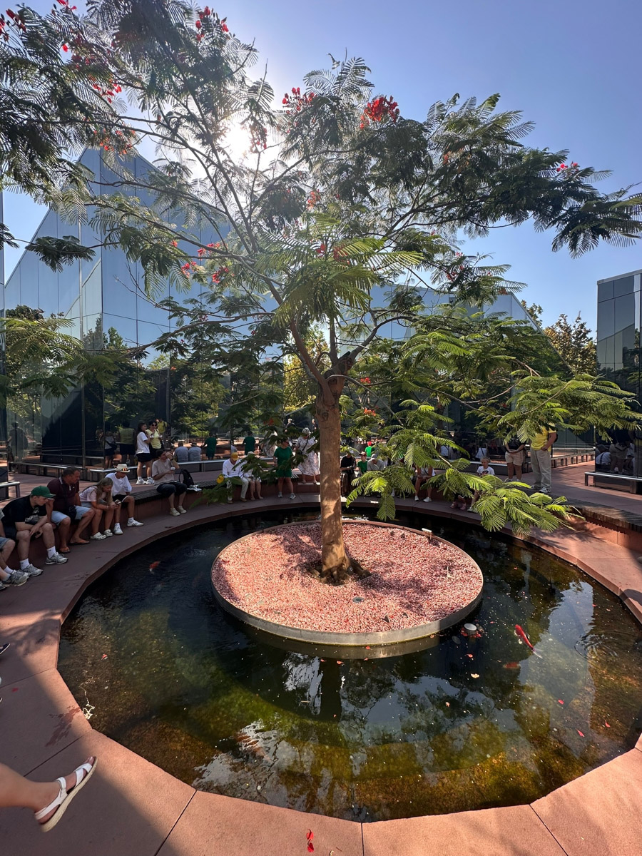 Приехать в Краснодар и не побывать в парке Галицкого — то же самое, что в Париже пройти мимо Эйфелевой башни: настоящее преступление, — уверена Светлана Игошева. Она рассказала «Ключ-Медиа» о своей однодневной поездке с детьми, в которой им удалось увидеть футуристическую локацию с массой интерактивных площадок.