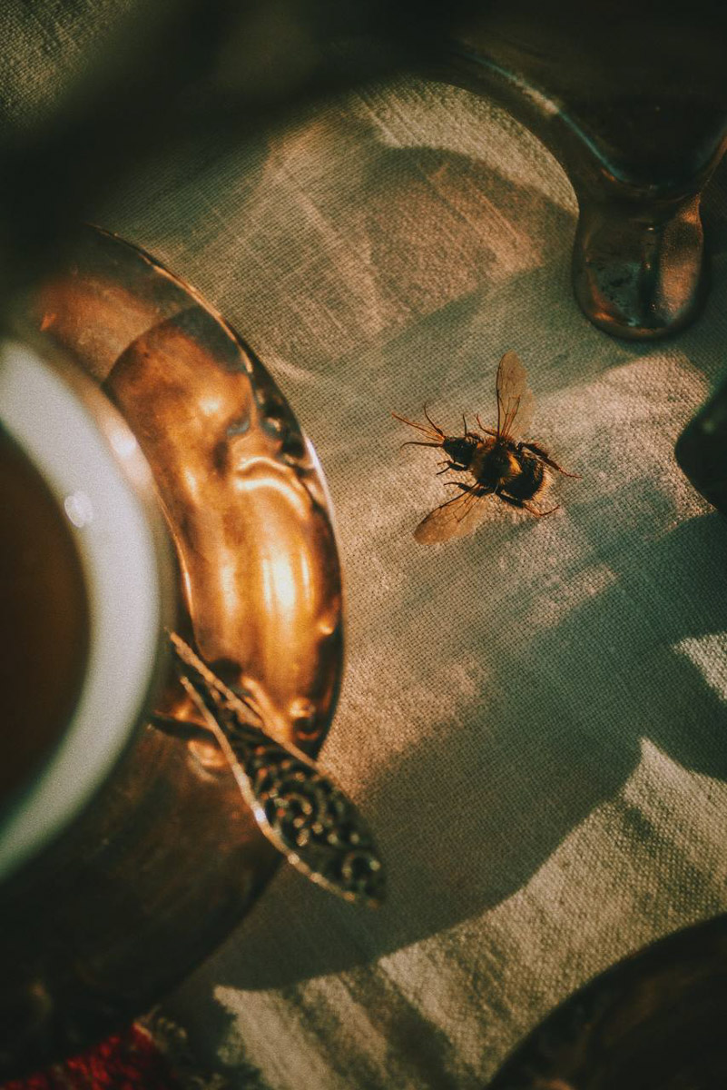 Однажды в чувствительную душу столичного фотографа запал Суздаль. Анастасия Зубкова влюбилась в город, даже не подозревая, к чему это приведет. А вышло нечто прекрасное — несколько удивительных фотопроектов с винтажными вещами, к которым наша героиня также испытывает особую симпатию.