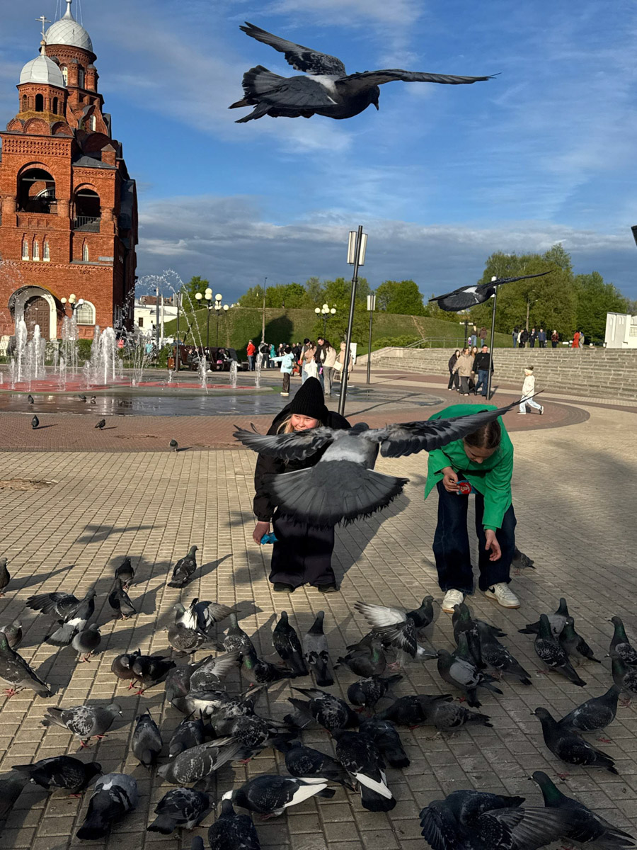 Наш город всячески старается повышать свою привлекательность. К примеру, подготовка к предстоящему юбилею Золотого кольца проводится в колоссальных масштабах. Но именно это и является камнем преткновения, о который споткнулись приезжие в 2026-м. Глобальный ремонт дорог и зданий явно смутил туристов. Каким запомнился гостям Владимир в этом году, выяснил «Ключ-Медиа».
