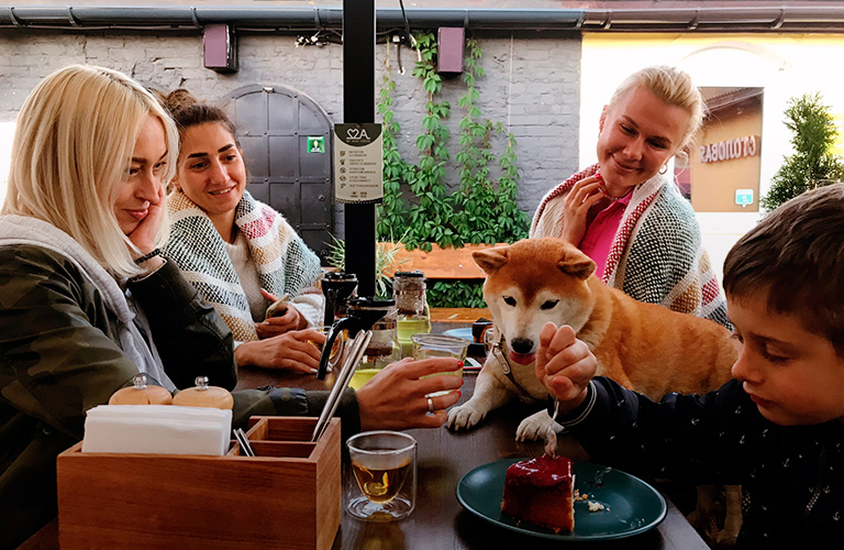 Dog-friendly: 9 владимирских заведений, куда пускают с собаками Dog-friendly: 9 владимирских заведений, куда пускают с собаками
