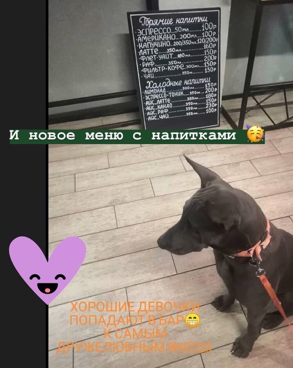 Обзор владимирских заведений, в которые вас пустят с собакой Тренд на заведения dog-friendly давно дошел и до Владимира. Мы составили обзор мест, в которых посетители уже были замечены вместе с любимыми питомцами. Причем не только с собаками