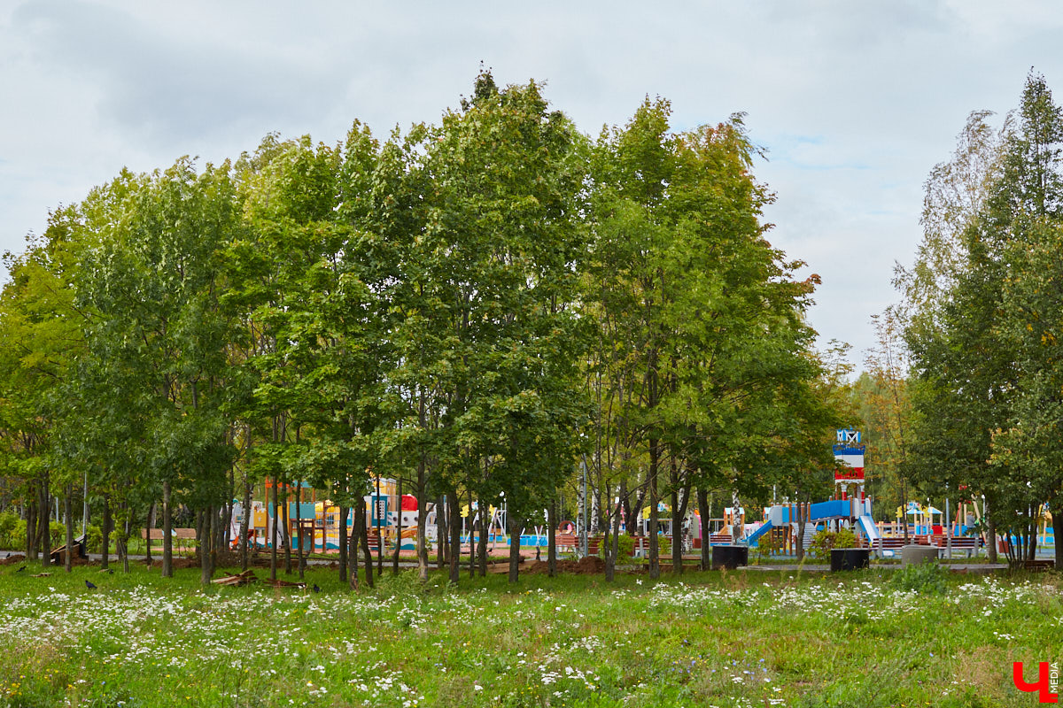 Обзор новостей об обновлениях в парках и скверах Владимира.