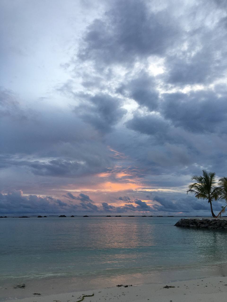 Солнце, море, белый песок и модная музыка каждый вечер. «Мечта», — скажете вы. А для владимирской художницы, дизайнера и модели Юлии Лейи все это стало рабочим местом. Неожиданно для самой себя она попала на Мальдивы в качестве диджея.